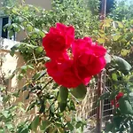 Soustas Διαμέρισμα *